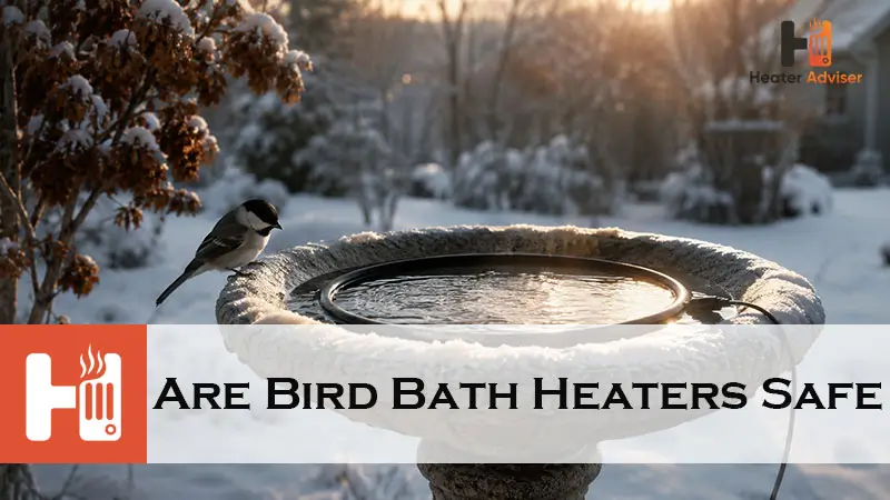 Are Bird Bath Heaters Safe-FI