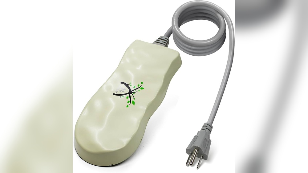 Are Bird Bath Heaters Safe