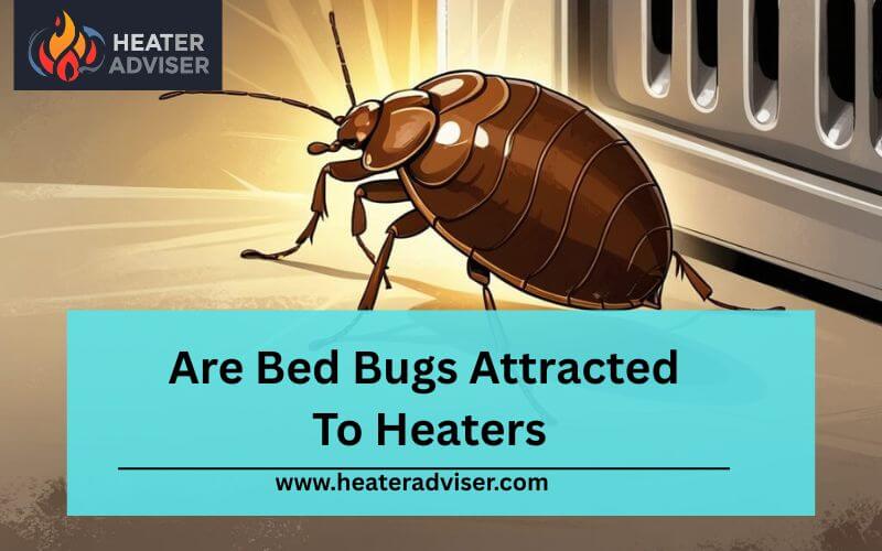 Are Bed Bugs Attracted To Heaters-FI