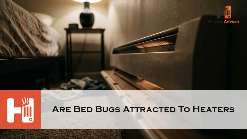 Are Bed Bugs Attracted To Heaters-FI